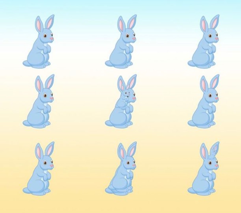 Tricky Puzzle IQ Test: Can you spot all the rabbits in 3 seconds?