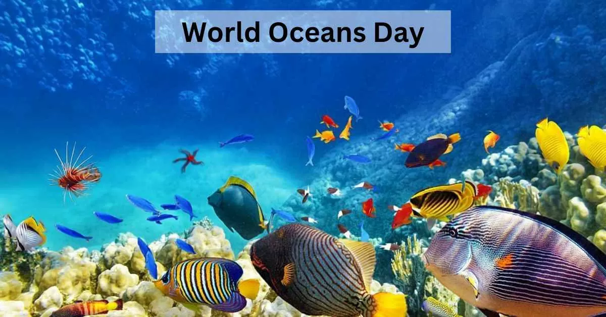 What is World Oceans Day? Why is it Celebrated on 8th June?