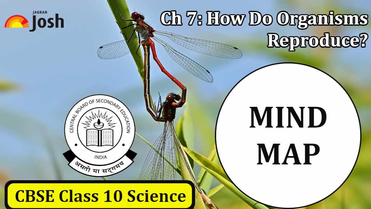 Download CBSE Class 10 Science Chapter 7 Mind Map PDF: How do Organisms Reproduce?