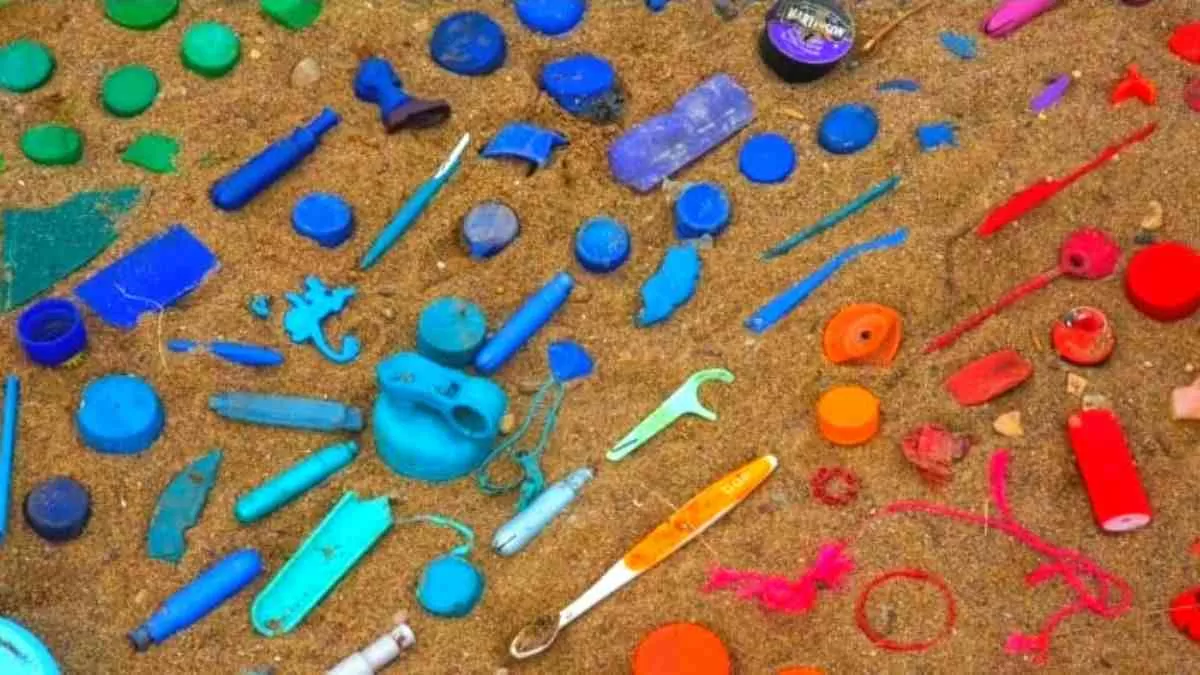 Find the hidden fly!