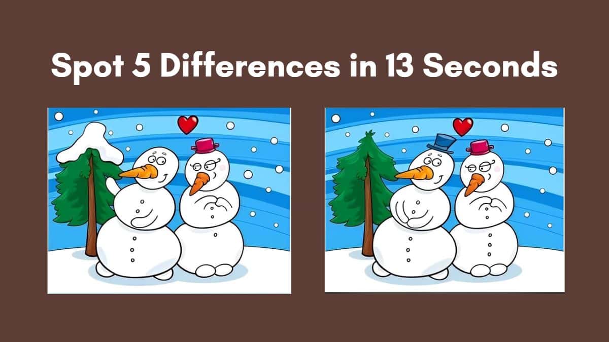 Spot 5 Differences in 13 Seconds