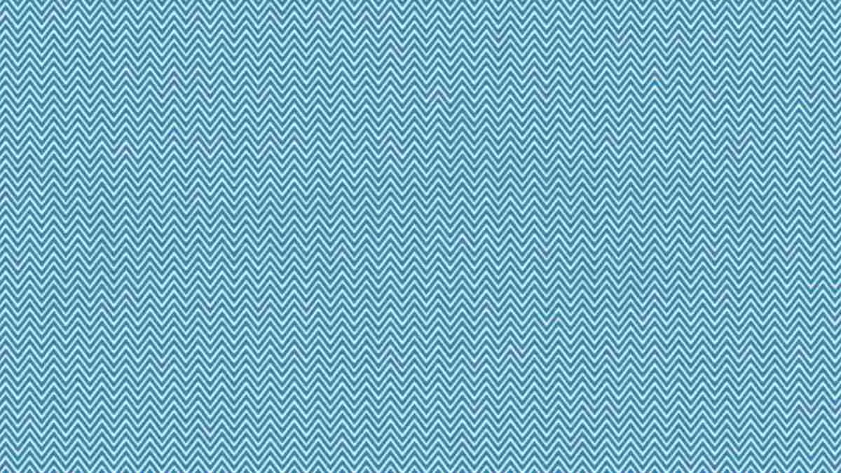 Optical Illusion for Testing Your IQ: Can you spot a Fish hidden behind ...