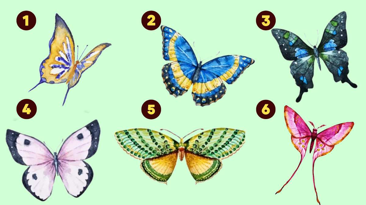 The Butterfly You Choose Reveals Your Greatest Personality Traits