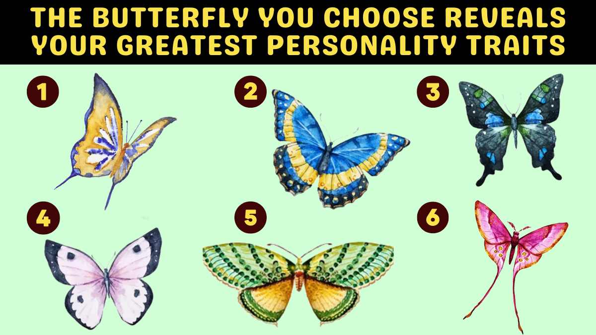 Personality Test: The Butterfly You Choose Reveals Your Greatest Personality Traits