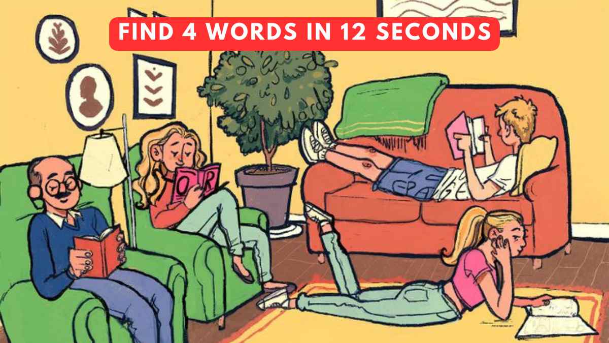 Brain Teaser IQ Test- Find 4 words hidden in the living room in 12 seconds