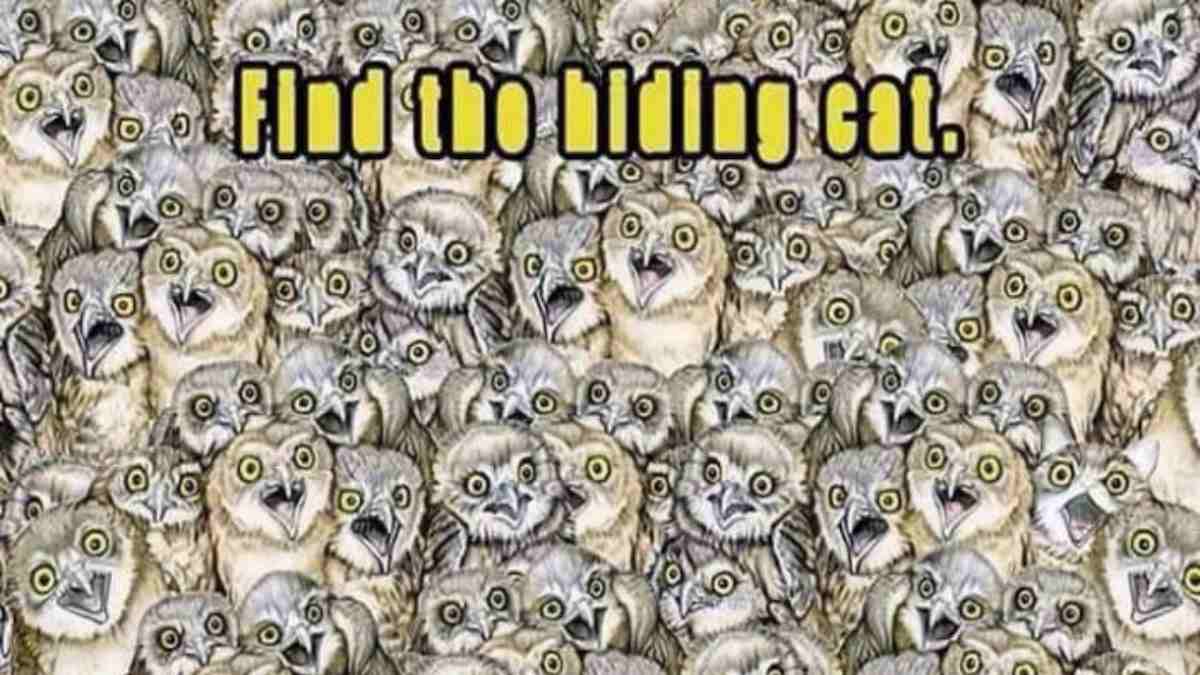 Optical Illusion Challenge- Spot cat hiding in the parliament of owls in 10 seconds.