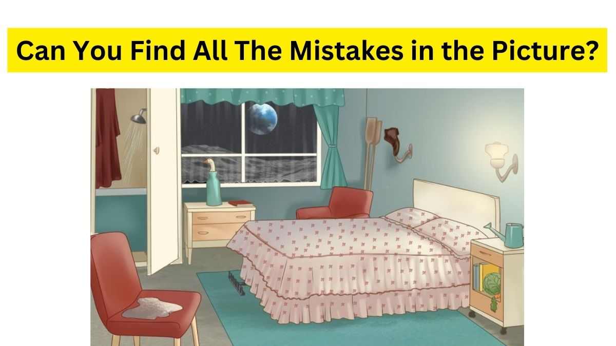 Find all the Anomalies in the Bedroom Brain Teaser.