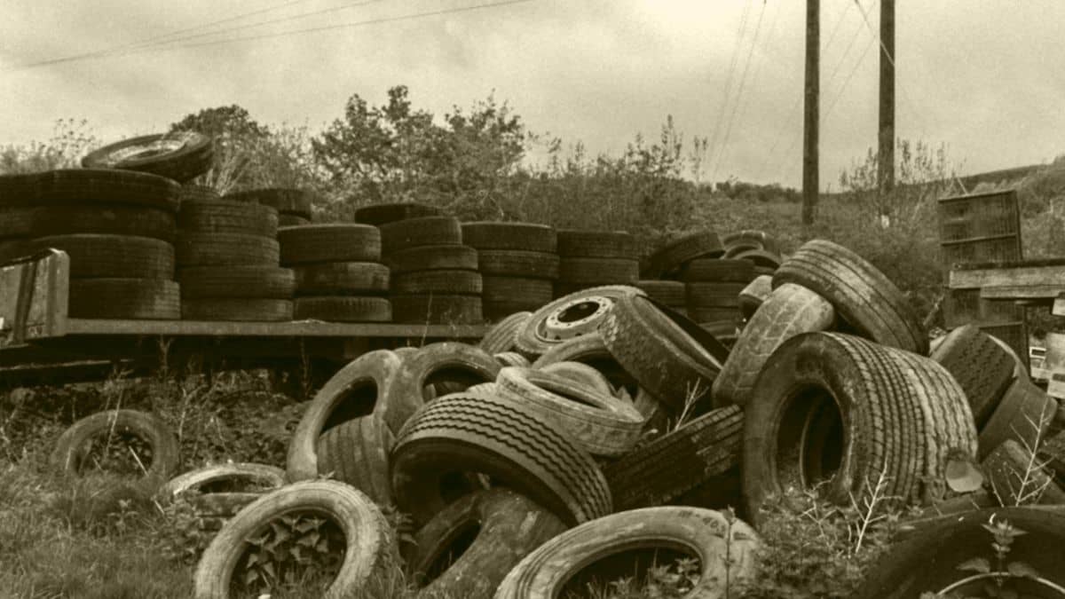 Find Hidden Bird in Junkyard in 4 Seconds