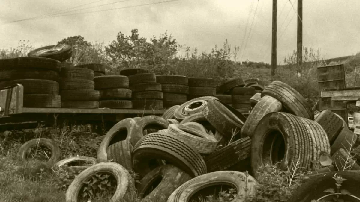 Find Hidden Bird in Junkyard in 4 Seconds