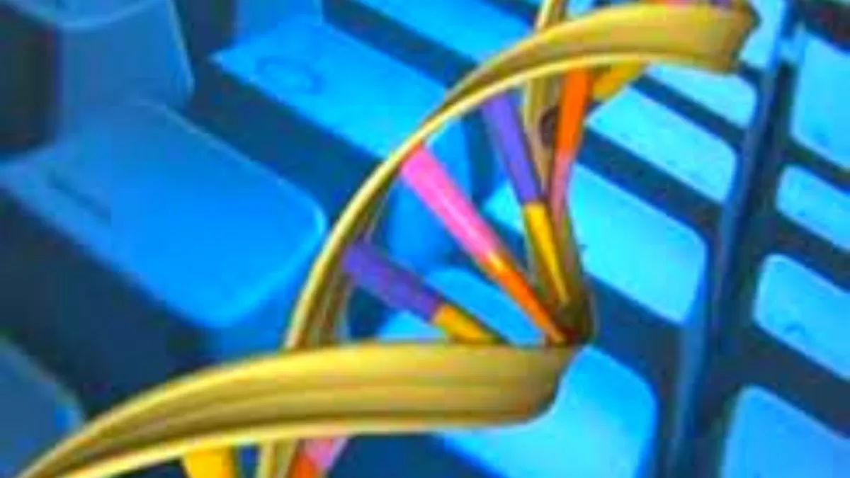 Understanding bio-computers!