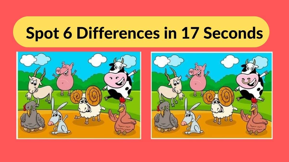 Can you spot 6 differences in 17 seconds?