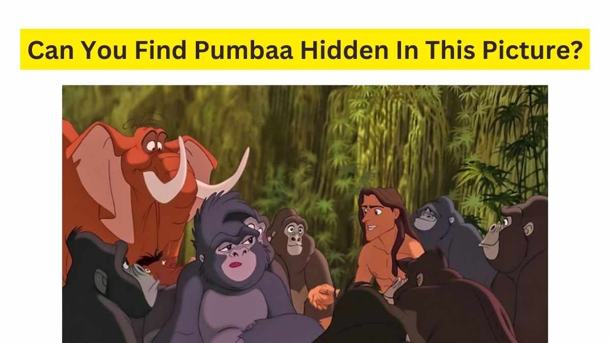 Have You Watch Simba and Pumba?