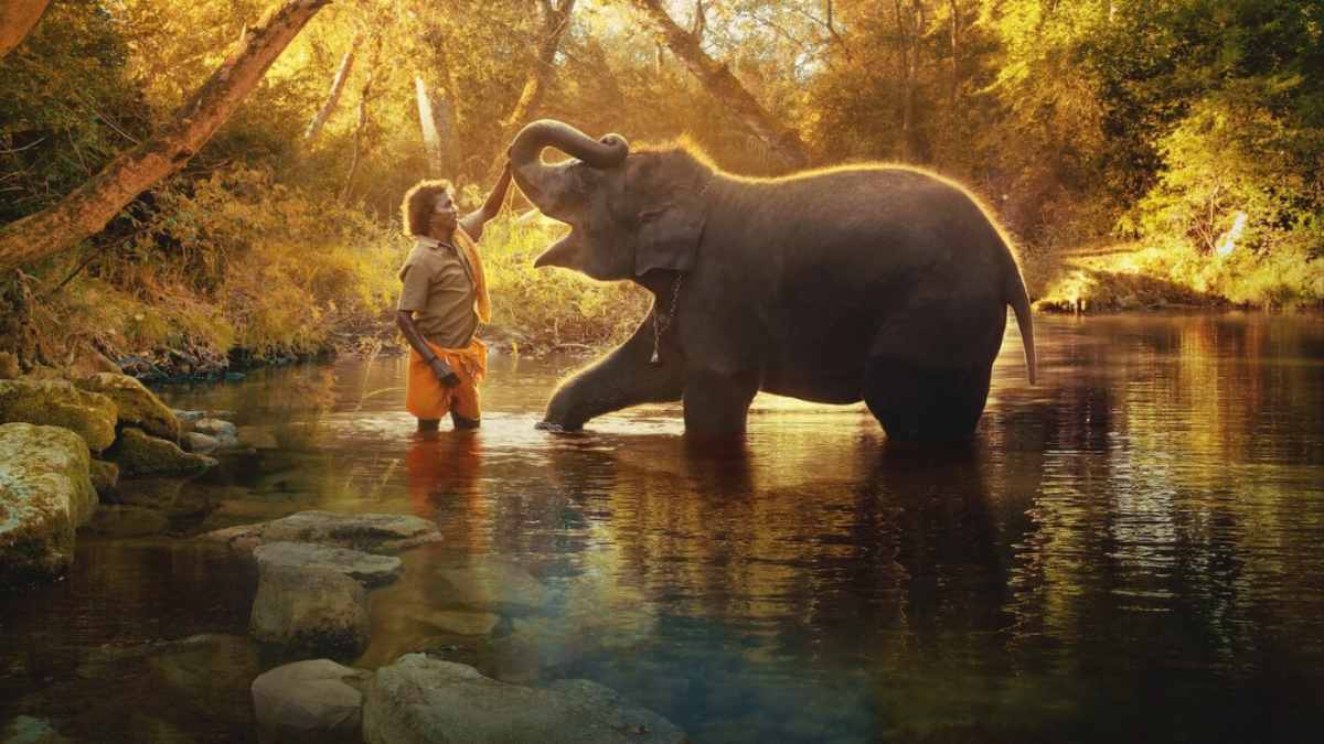All You Need To Know About Oscar Winning Indian Documentary The Elephant Whisperers