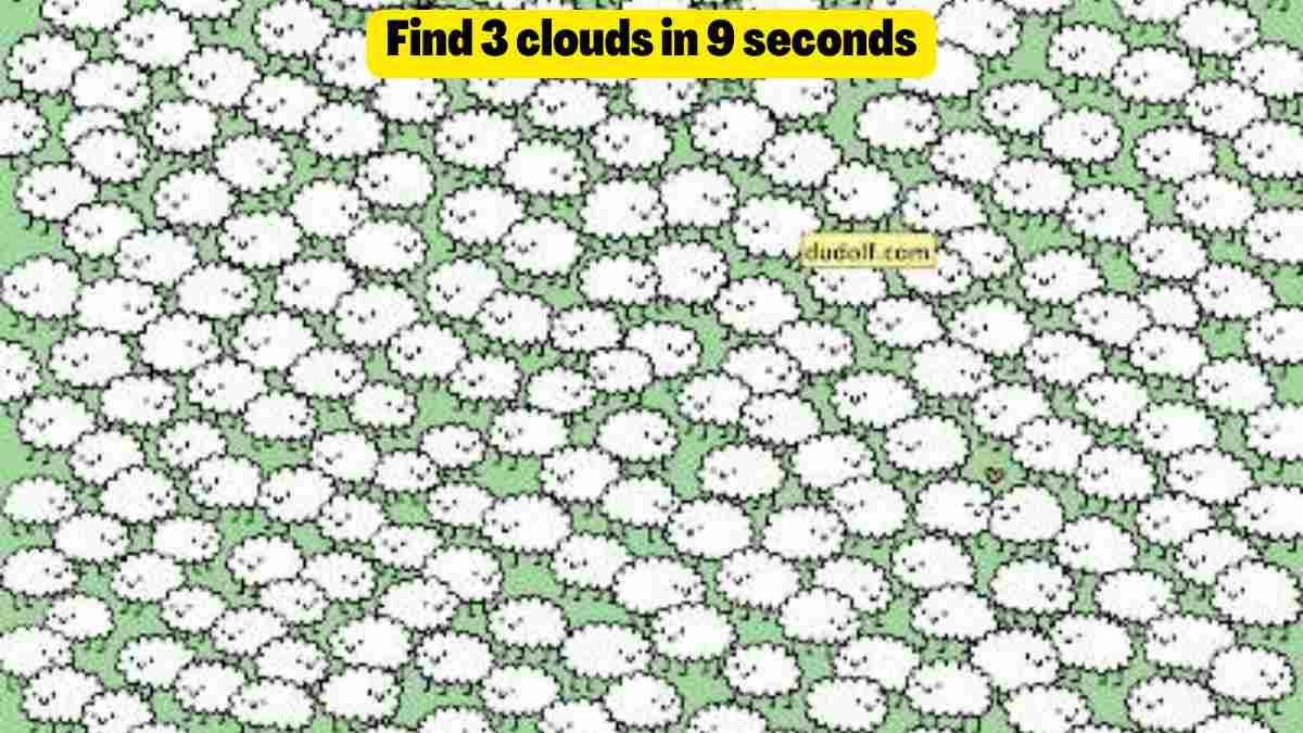 Optical Illusion Challenge- Spot three clouds among the sheep in 9 seconds
