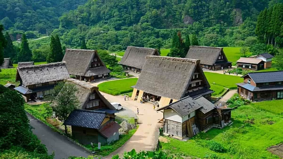 Find Cat in the Village in 7 Seconds