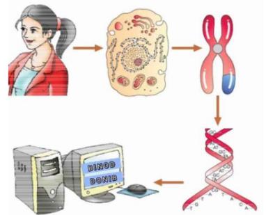 case study questions for class 12 biology