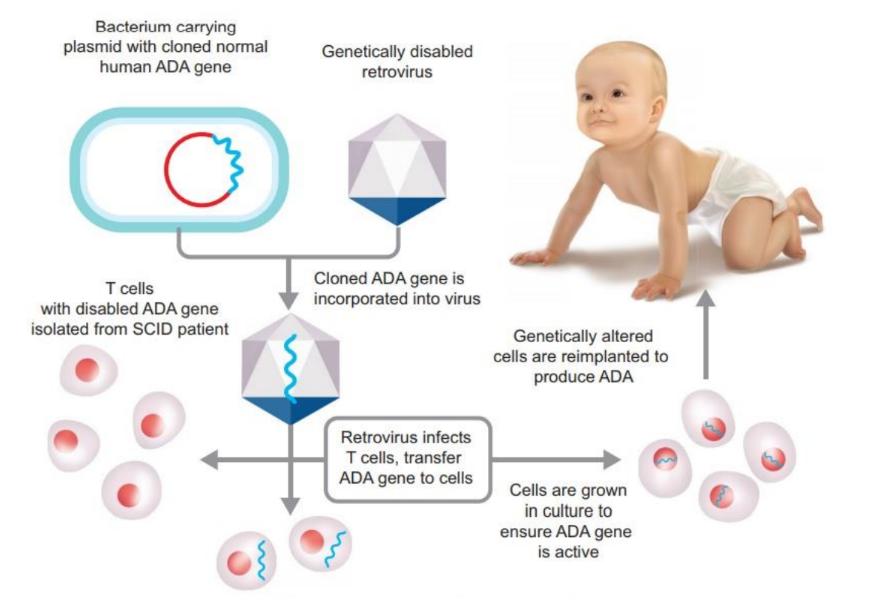 case study on genetic disorders class 12