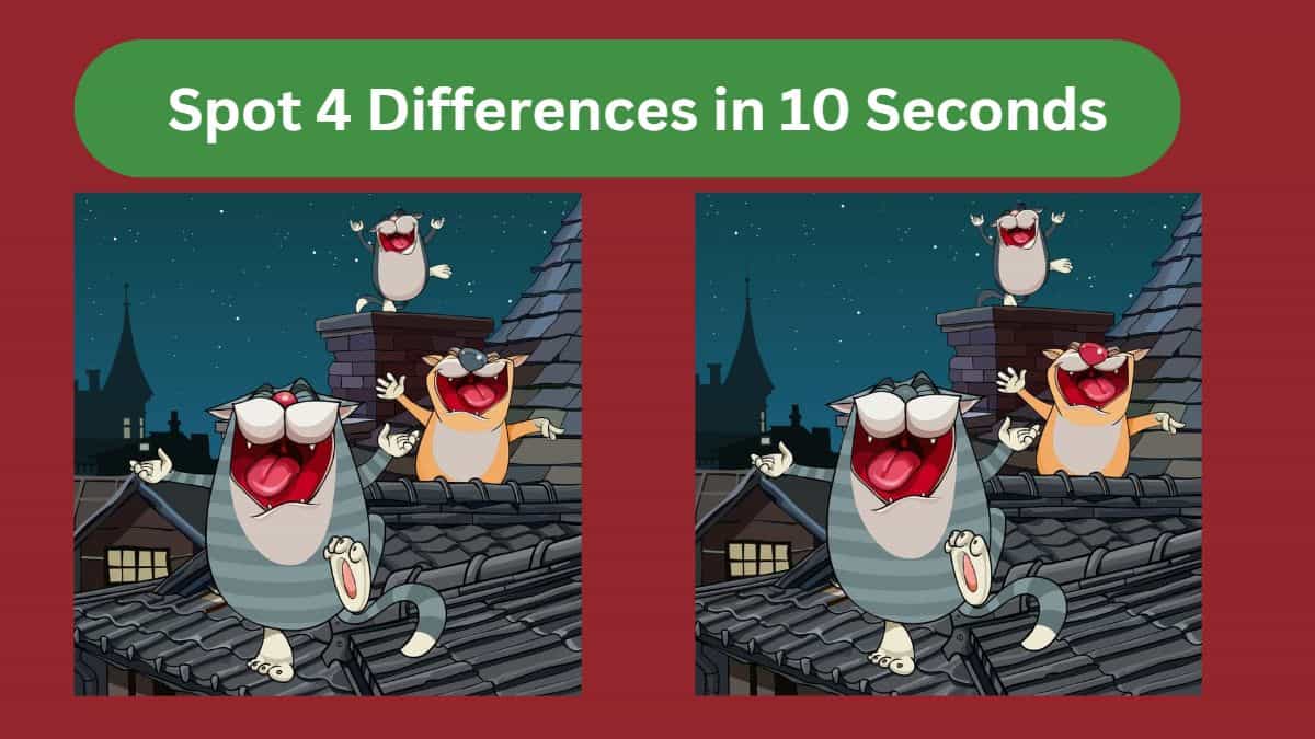 Spot 4 Differences in 10 Seconds