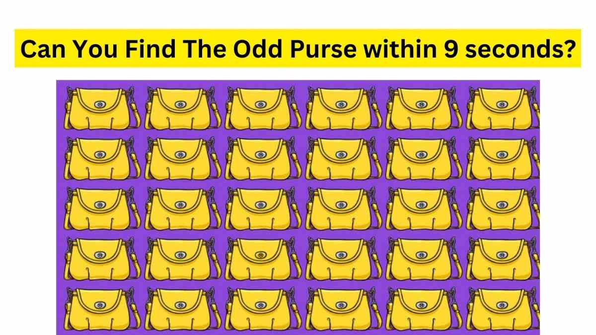 can you find the odd purse