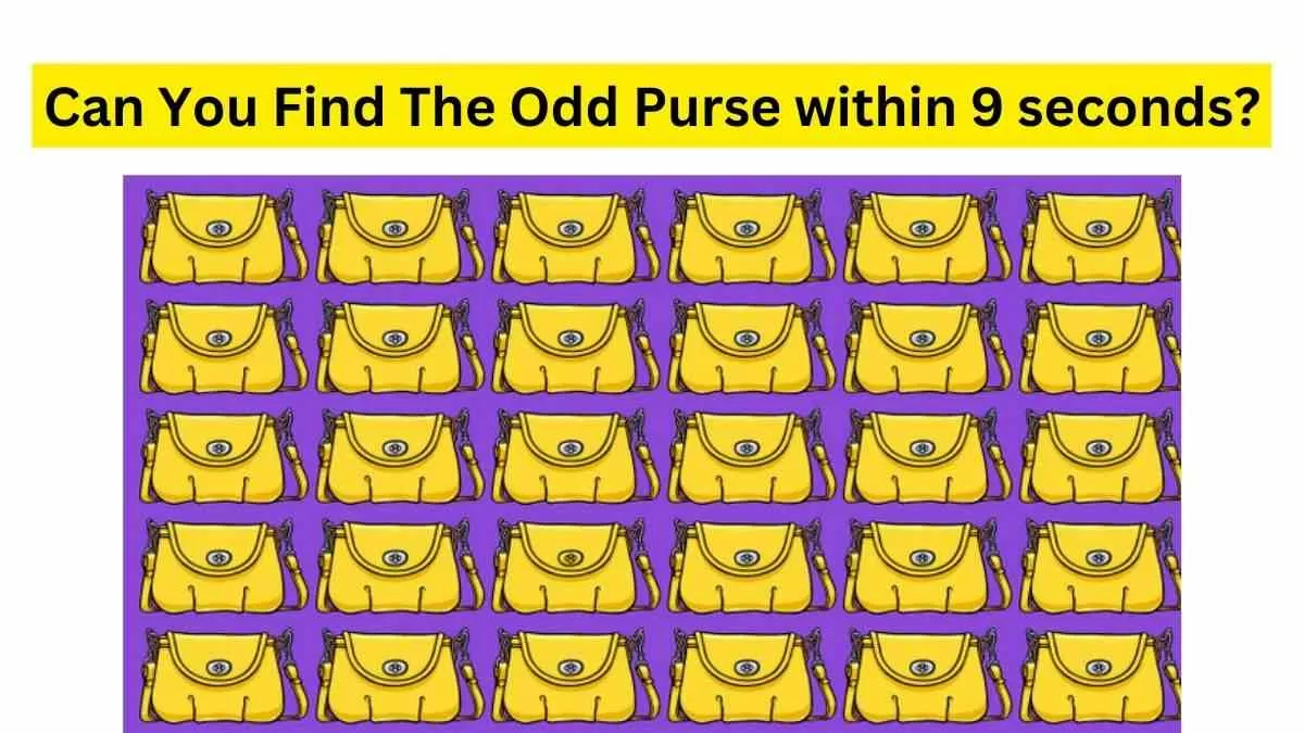 can you find the odd purse