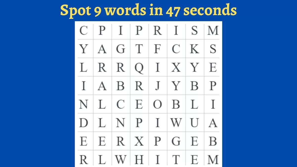 Word Search Puzzle - Spot 9 Hidden Words In 47 Seconds!