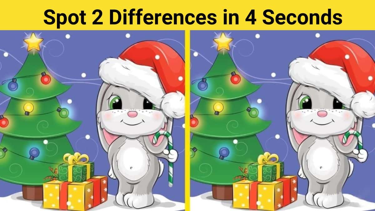 Spot 2 Differences in 4 Seconds