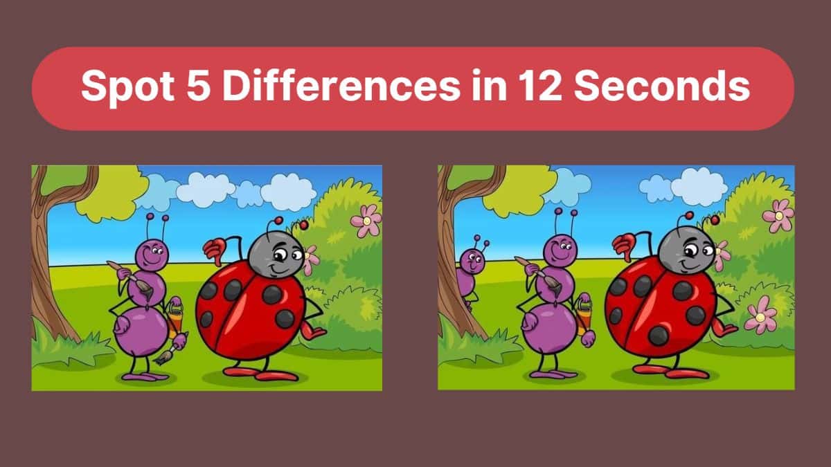 Spot 5 Differences in 12 seconds