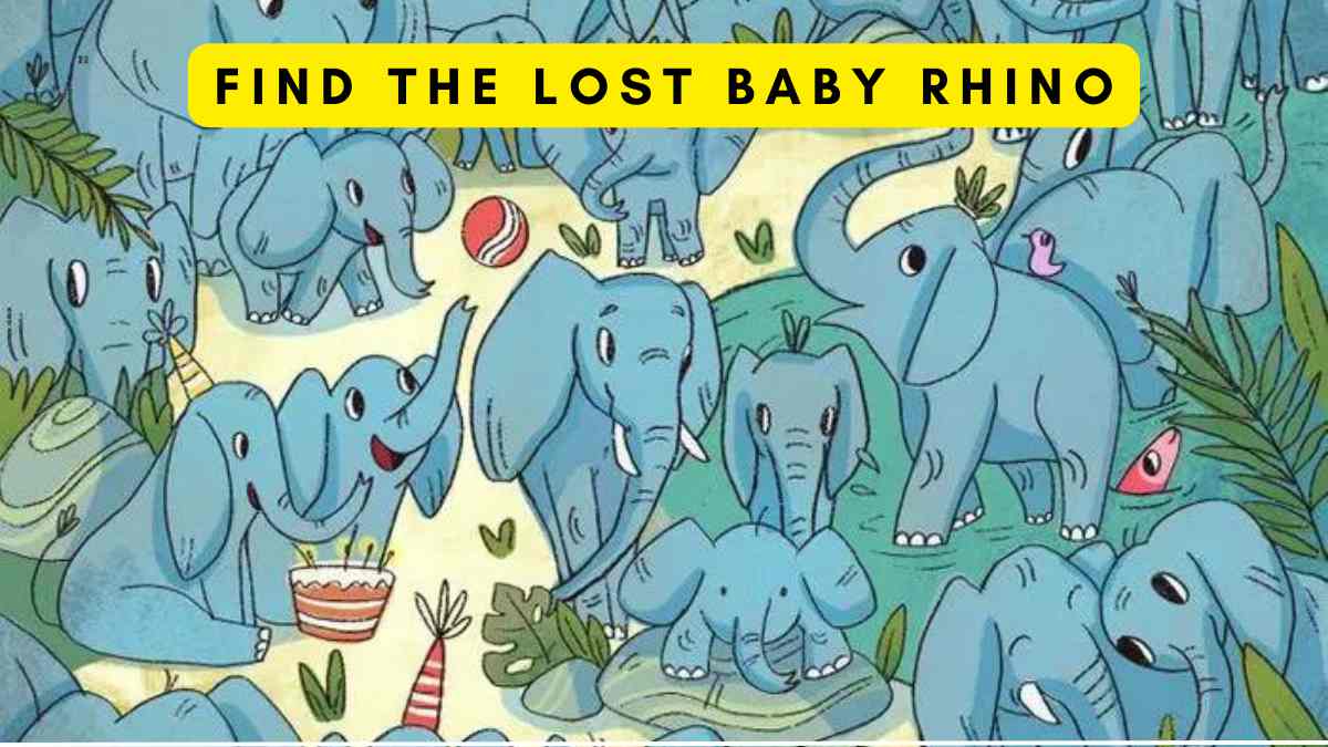 Optical Illusion Challenge- Spot the baby rhino lost in the herd of elephants in 9 seconds