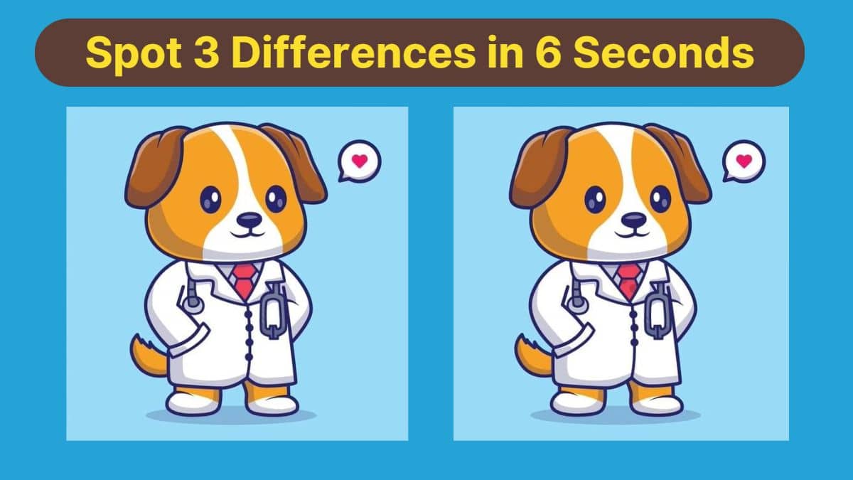 Spot 3 Differences in 6 Seconds