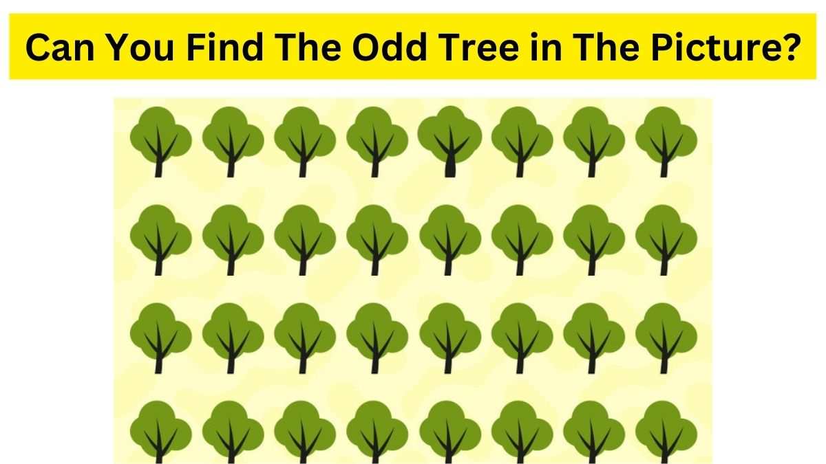 brain-teaser-for-fun-99-of-genius-failed-to-find-the-hidden-odd-tree