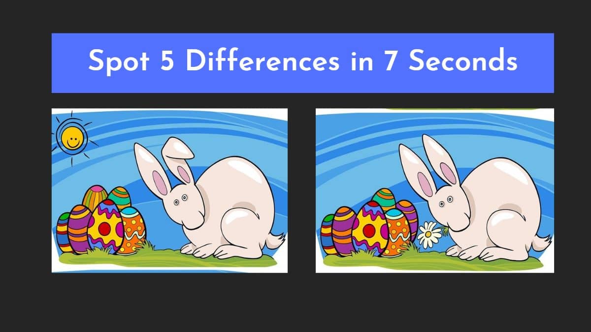 Can you spot 5 differences in 7 seconds?