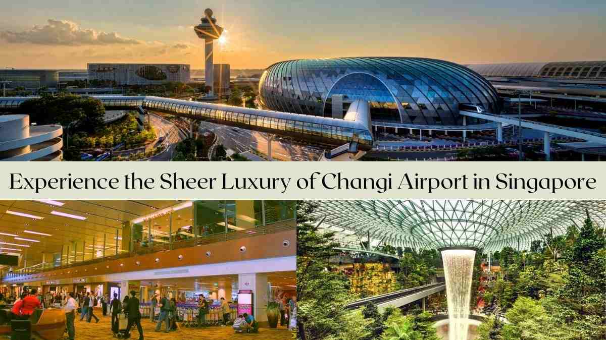 Singapore's Changi Airport voted best airport for third year in a row - Los  Angeles Times