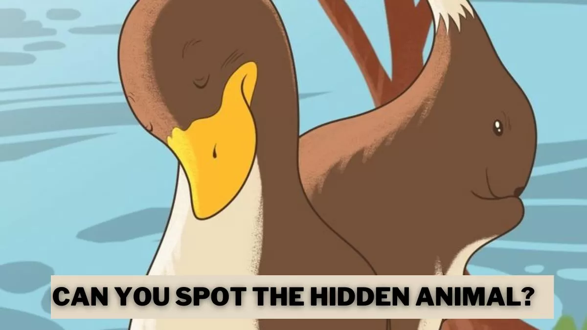 Optical Illusion IQ Test