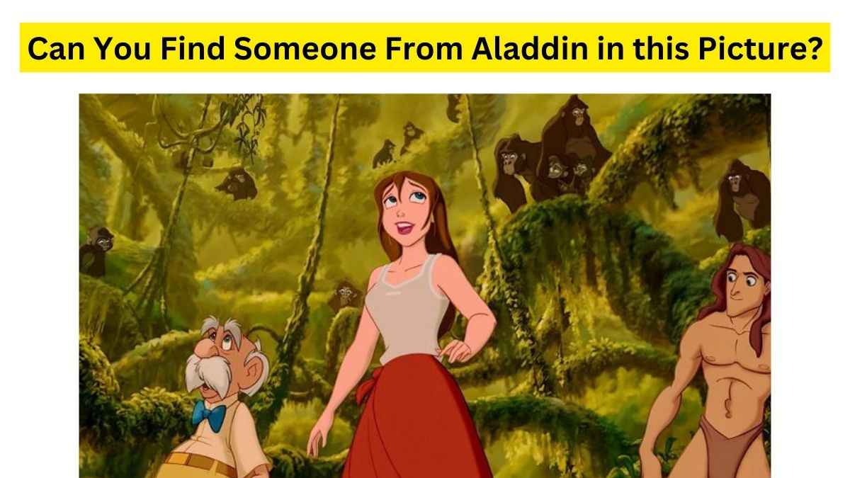 Find the Aladdin character in the Tarzan Picture.