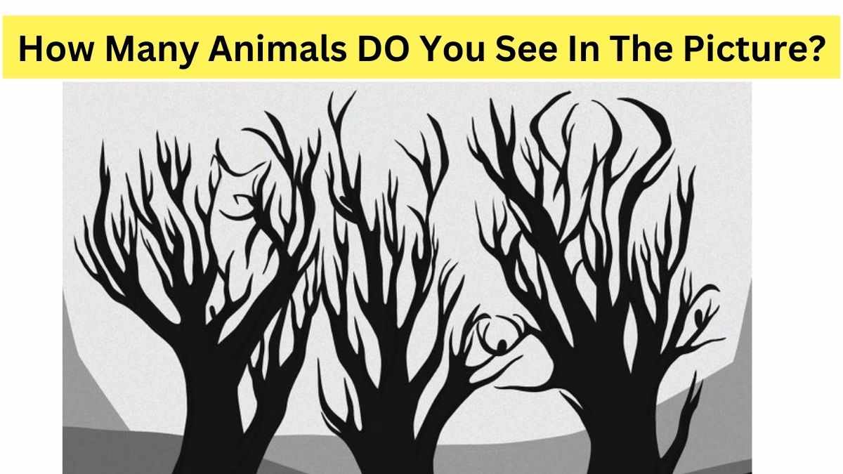 Do you see any animal here in the picture?