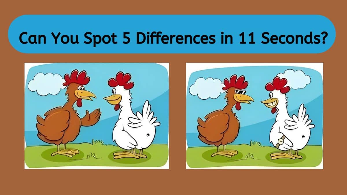 Spot The Difference: Can you spot 5 differences between the two images ...