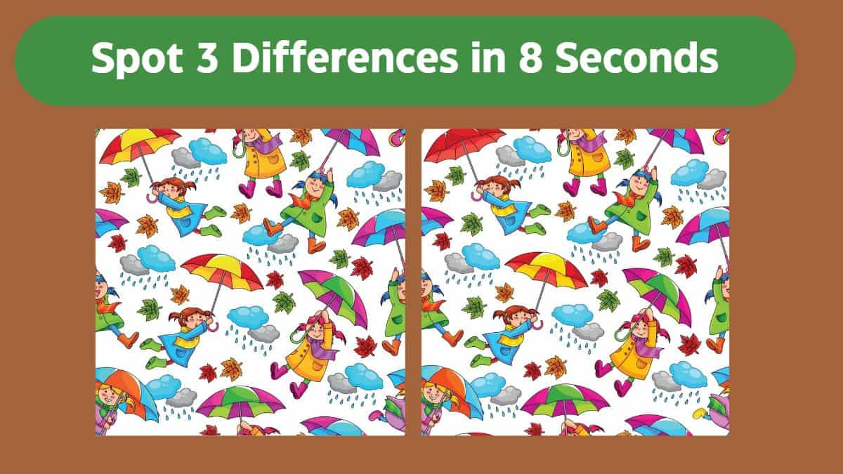 Spot 3 Differences in 8 Seconds