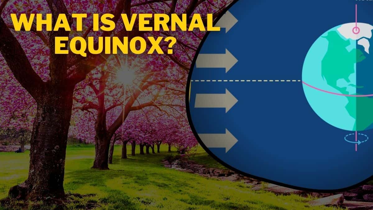 What Is The Vernal Equinox? When Will Spring Start This Year? All You Need To Know