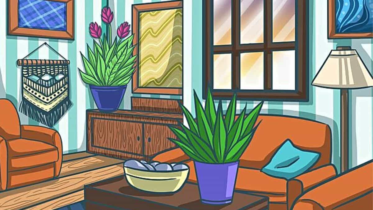 Can you find a feather in the room in 7 seconds?