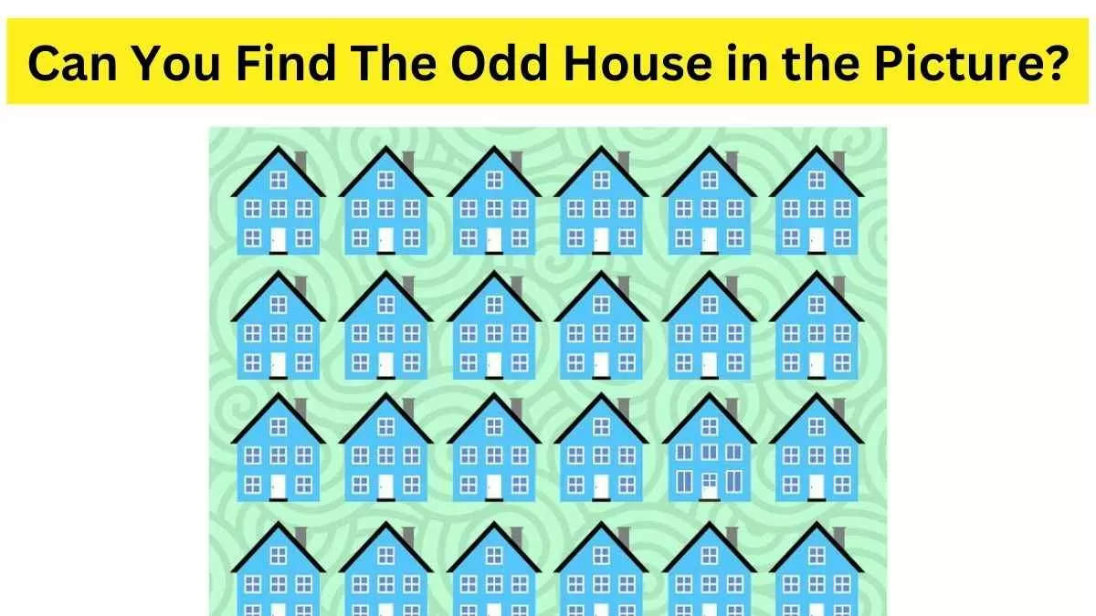 Spot the odd house in the Picture.