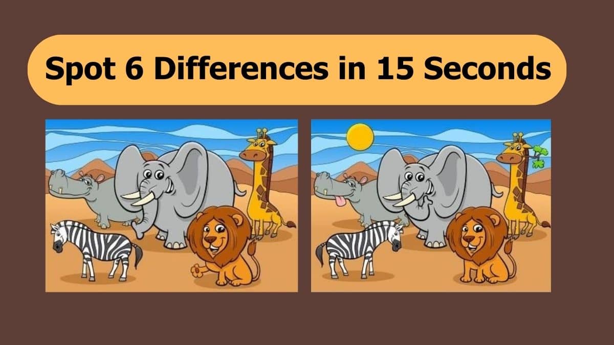 Spot 6 Differences in 15 Seconds