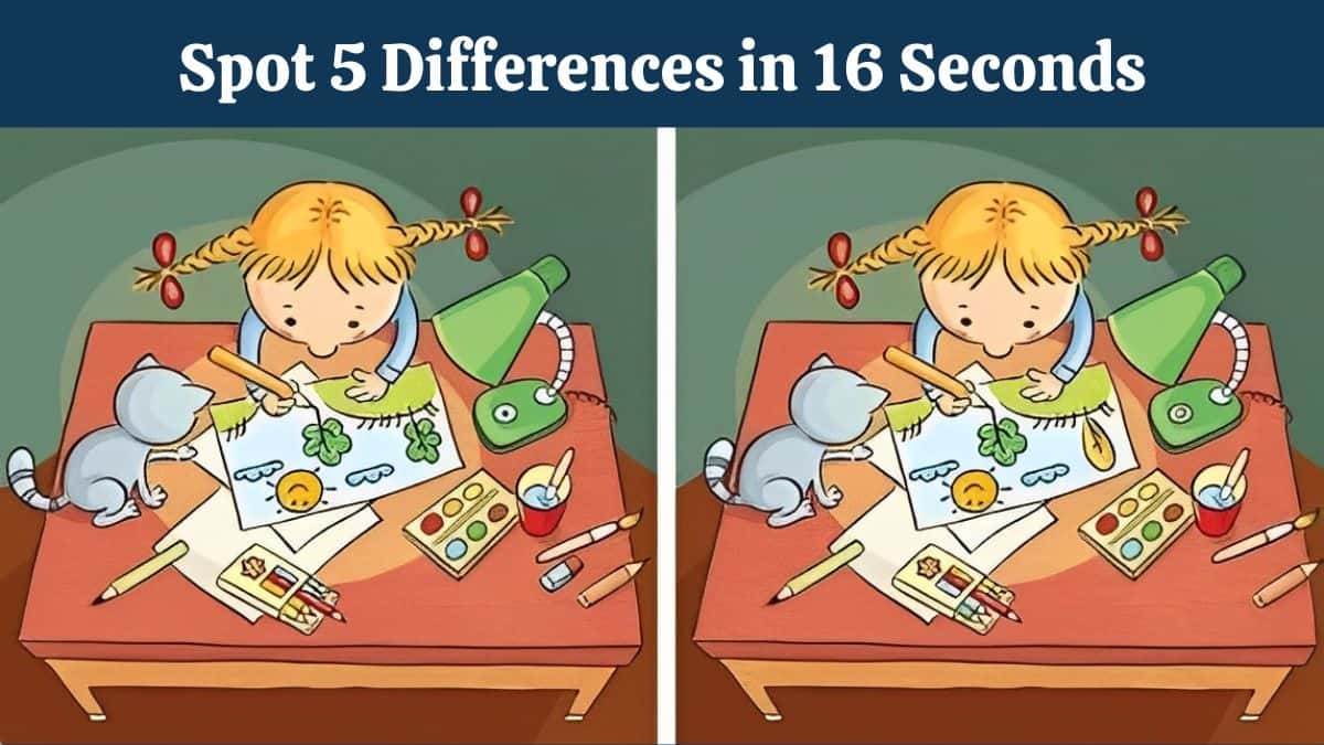 Can You Spot 5 Differences in 16 Seconds?