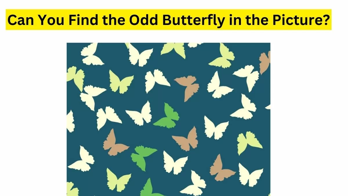 Spot and Find the Odd Butterfly here.