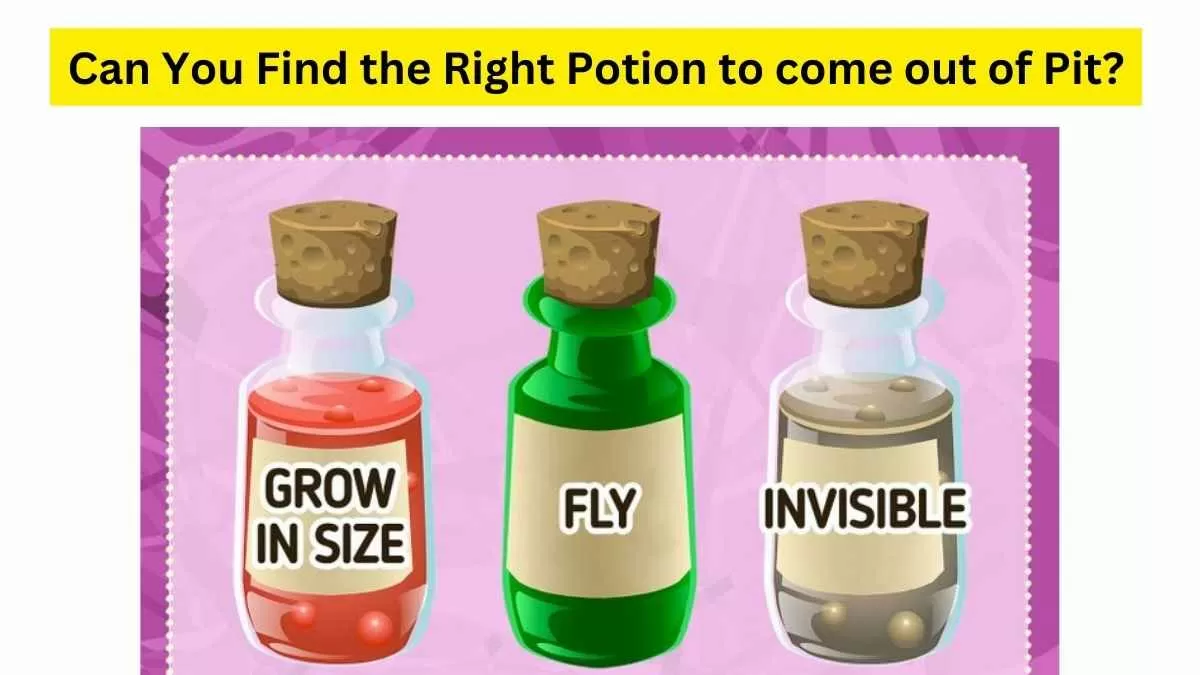 Brain Teaser For Fun: Grow, Fly Or Invisible! Which potion out of the ...