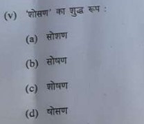 ICSE Class 10 Hindi 2023 Answer Key