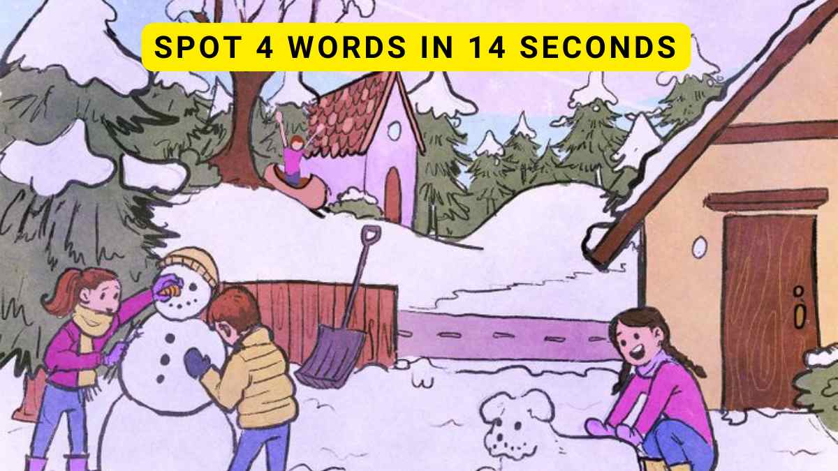 Brain Teaser IQ Test: Spot 4 words hidden in the snow in 14 seconds
