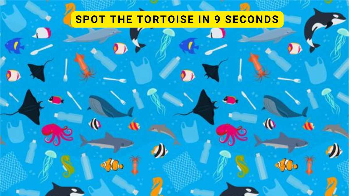Optical Illusion IQ Test: Spot the sneaky tortoise in 9 seconds