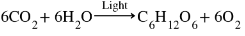chemical reaction of photosynthesis 