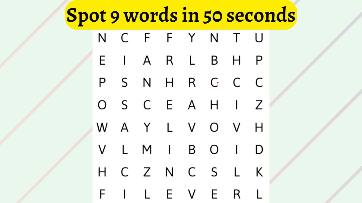 Word Search Puzzle: Can You Spot 9 Words Hidden in the Image in 50 Seconds?