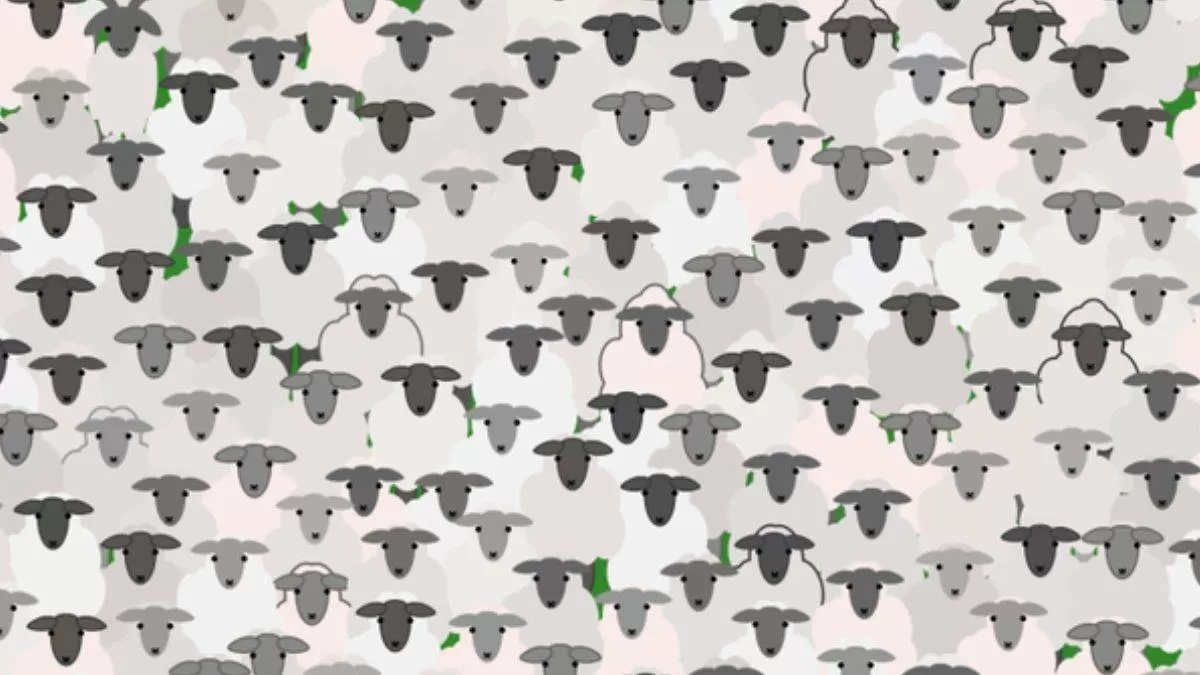 Optical Illusion for Testing Your IQ: Can you spot hidden Goat inside the  flock of Sheep in 11 Secs?